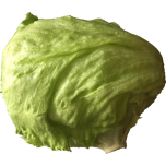 Lettuce Favicon 