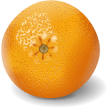 Orange Apelsinas Favicon 