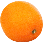 Orange Citrus Favicon 