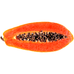 Papaya Favicon 