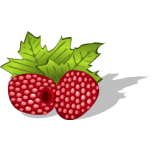 Raspberries Avietes Berries Uogos Food Favicon 