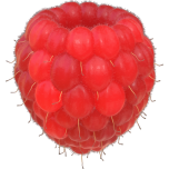 Raspberry Favicon 