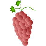 Red Grapes Favicon 
