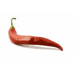 Red Hot Chili Favicon 