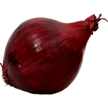Red Onion Favicon 