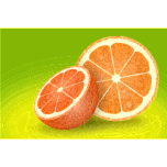 Refreshing Sliced Orange Favicon 