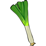 Spring Onion Favicon 