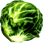 Sprout Favicon 