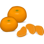Tangerine Favicon 