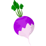 Turnip Favicon 