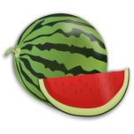 Water Melon Favicon 