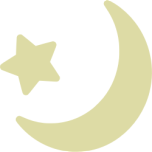Pale Moon And Star Icon Favicon 