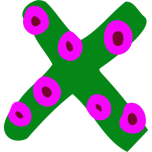 Colourful Alphabet   X Favicon 