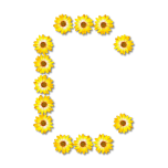 Floral Alphabet C Favicon 