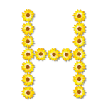 Floral Alphabet H Favicon 