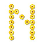 Floral Alphabet N Favicon 