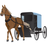 Amish Buggy And Horse Favicon 