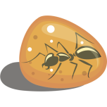 Ant In Amber Favicon 