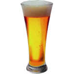 Glass Of Lager Favicon 