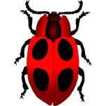 Ladybug Favicon 