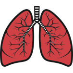 Lungs Favicon 