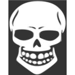 Skull Human X Ray Favicon 