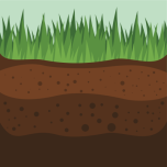 Soil Favicon 