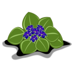 African Violets Favicon 
