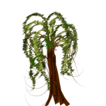 Brown Tree Favicon 