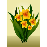 Narcissus Flowers Favicon 