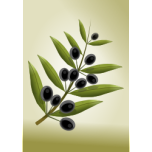 Olive Branch Favicon 