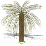 Palm Favicon 