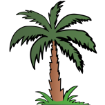 Palm Tree   Colour Favicon 