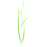 Rice Plant Favicon 