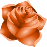 Rose  Peach Favicon 