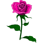 Rose  Colour Favicon 