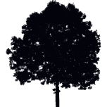 Single Tree Silhouette Favicon 