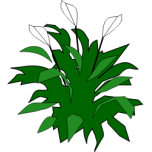 Spathiphyllum Favicon 
