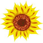 Sunflower Favicon 