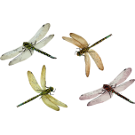Dragonflies Favicon 