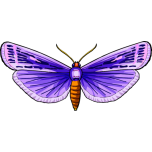  Butterfly    Favicon Preview 