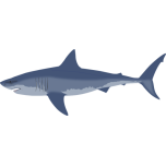 Great White Shark Favicon 