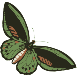 Green Butterfly Favicon 