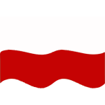 Flag Of Poland Wave Favicon 