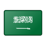 Saudi Arabia Flag Bevelled Favicon 