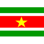 Suriname Favicon 