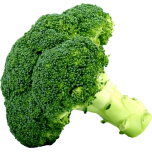 Broccoli Favicon 
