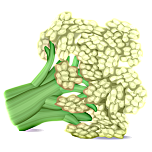Broccoli Favicon 