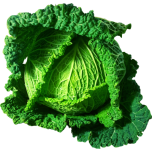 Cabbage Favicon 