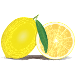  Lemon-221230 Favicon Preview 